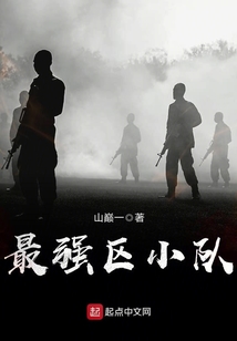 最强区小队小说免费