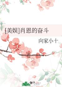 美娱肖恩的奋斗