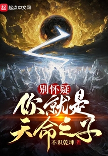 别怀疑,你就是天命之子! 第529章