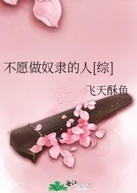 不愿做奴隶的人[综]作者