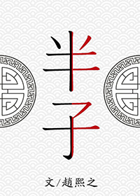 半子小说讲的什么