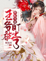 悍妃王爷的小说