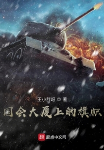 胜利旗帜插到国会大厦