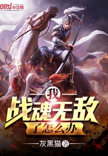 战魂无双 小说