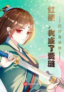 红楼,我成了贾琏?还好有系统!无广告小说