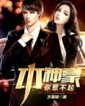 本神豪你惹不起