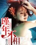 瑾年不相迟