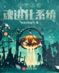 斗罗之武魂进化系统