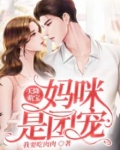 天降萌宝:妈咪是团宠