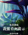生存游戏,我能看到提示