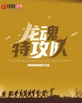 龙魂特工队
