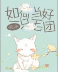 如何当好一只毛团