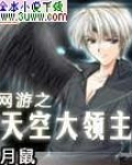 网游之天空大领主