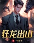 狂龙出山一剑霜寒 小说