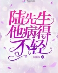 陆先生他病得不轻