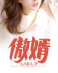 傲婿