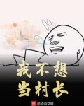 我不想当村长