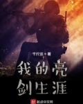 我的亮剑生涯