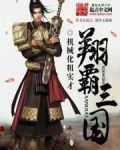 翔霸三国
