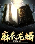 麻衣龙婿