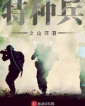 特种兵之山河泪