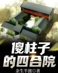 傻柱子的四合院