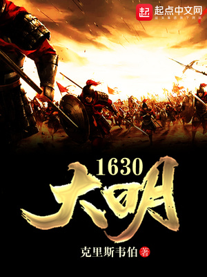 大明1630 小说