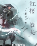 红楼：莽夫
