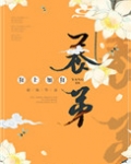 养帝（养弟）