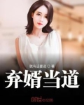 弃婿当道