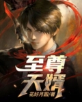 至尊天婿
