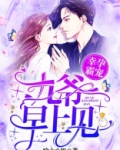 幸孕霸宠:九爷,早上见!