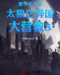 喜羊羊与灰太狼之异国大营救3