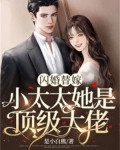 闪婚替嫁:小太太她是顶级大佬