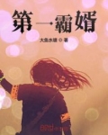 第一霸婿
