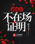 歧途之不在场证明