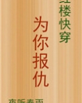 [红楼快穿]为你报仇