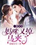 1胎5宝:妈咪又掉马甲了