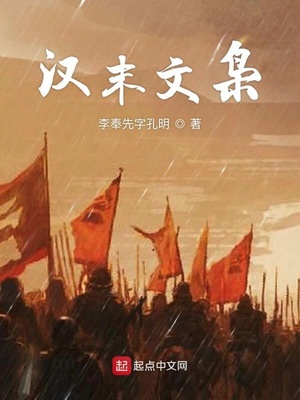 汉末枭雄小说
