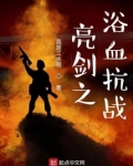 亮剑之浴血抗战