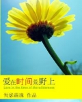 爱在时间荒野上