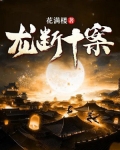龙断十案