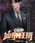 重生之仙帝狂婿