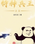 特种兵王之王