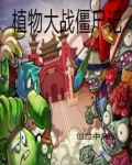 植物大战僵尸记
