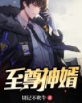 至尊神婿