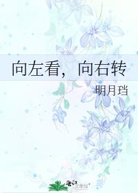 向左看,向右转 小说讲了什么