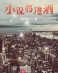 小说将进酒