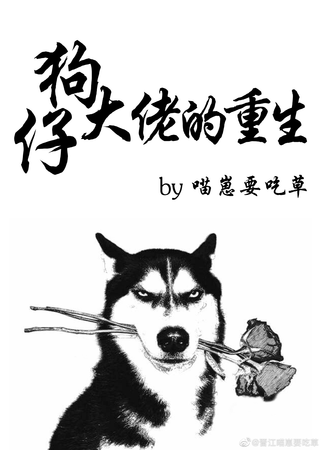 狗仔界大佬