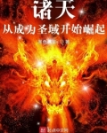 诸天：从成为圣域开始崛起